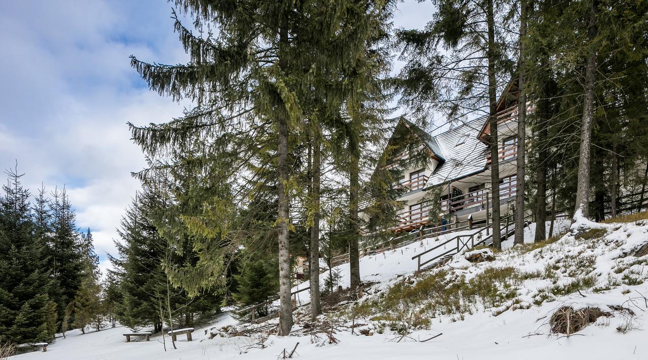 Twoja Chata Apartament Pod Lasem Zarezerwuj Na Podhalami Pl Kościelisko Exteriér fotografie